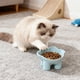 thumbnail image 5 of Elevated Cat Food and Water Bowl, Tilted Anti-Vomit Slow Feeder, Whisker Relief Wide Shallow Dish for Healthy Digestion, Non-S Feeding Station with Neck Support for Small Medium Cats and Kittens, 5 of 6