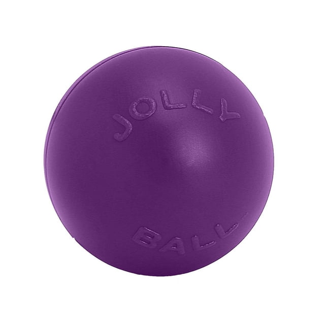 Jolly Pets Push-N-Play Dog Ball