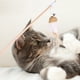 thumbnail image 4 of 5 piezas de plumas para gatos con cascabel, juguete de cuerda para gatos, palo de juguete para gatos, 4 of 7