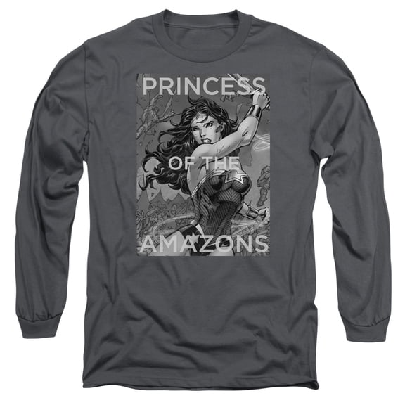 JLA Justice League Princess Of The Amazons Long Sleeve Adult 18/1 T-Shirt Charcoal