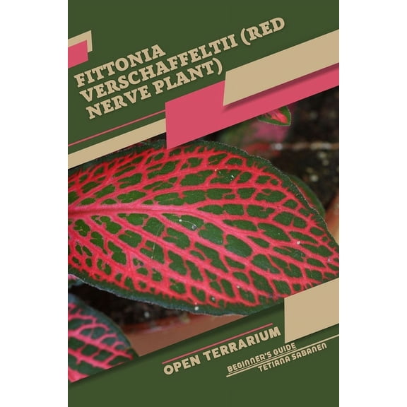 Fittonia verschaffeltii (Red Nerve Plant): Open terrarium, Beginner's Guide, (Paperback)