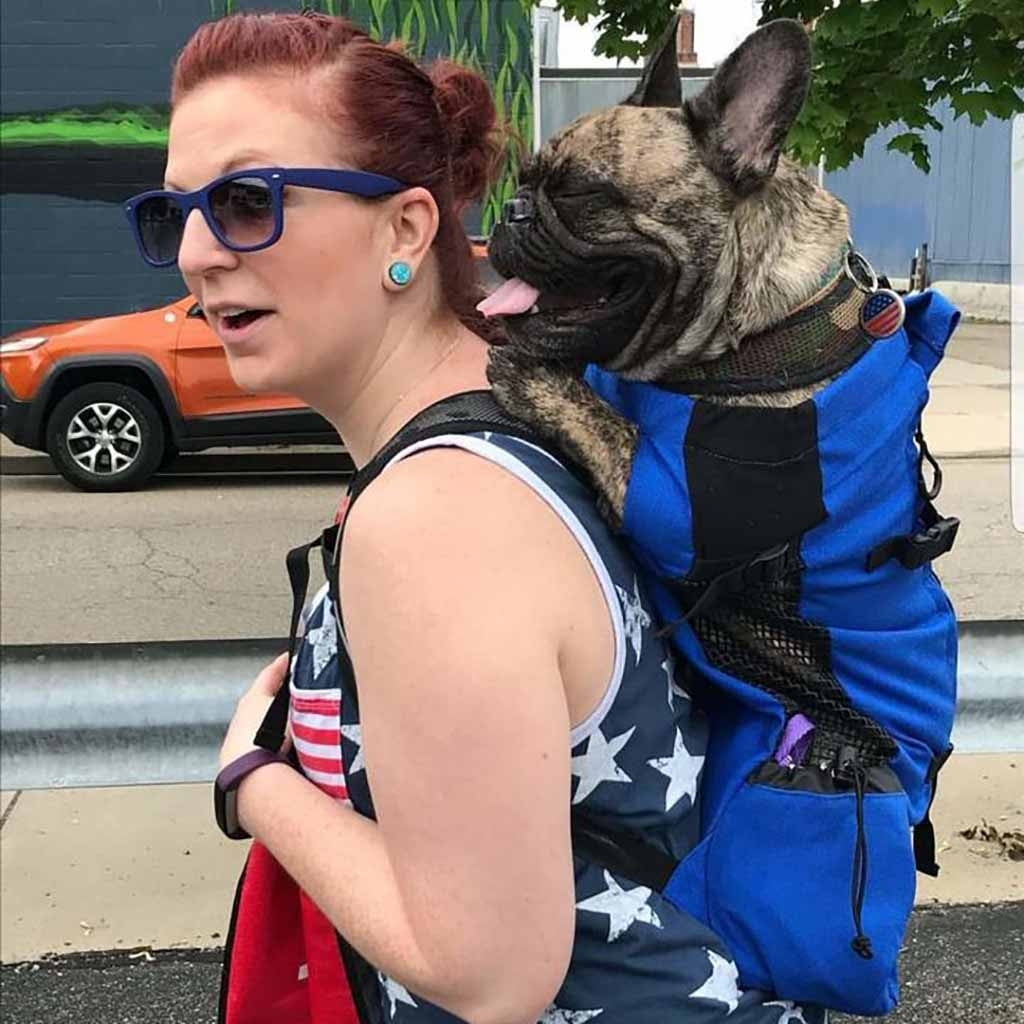 large pet backpack