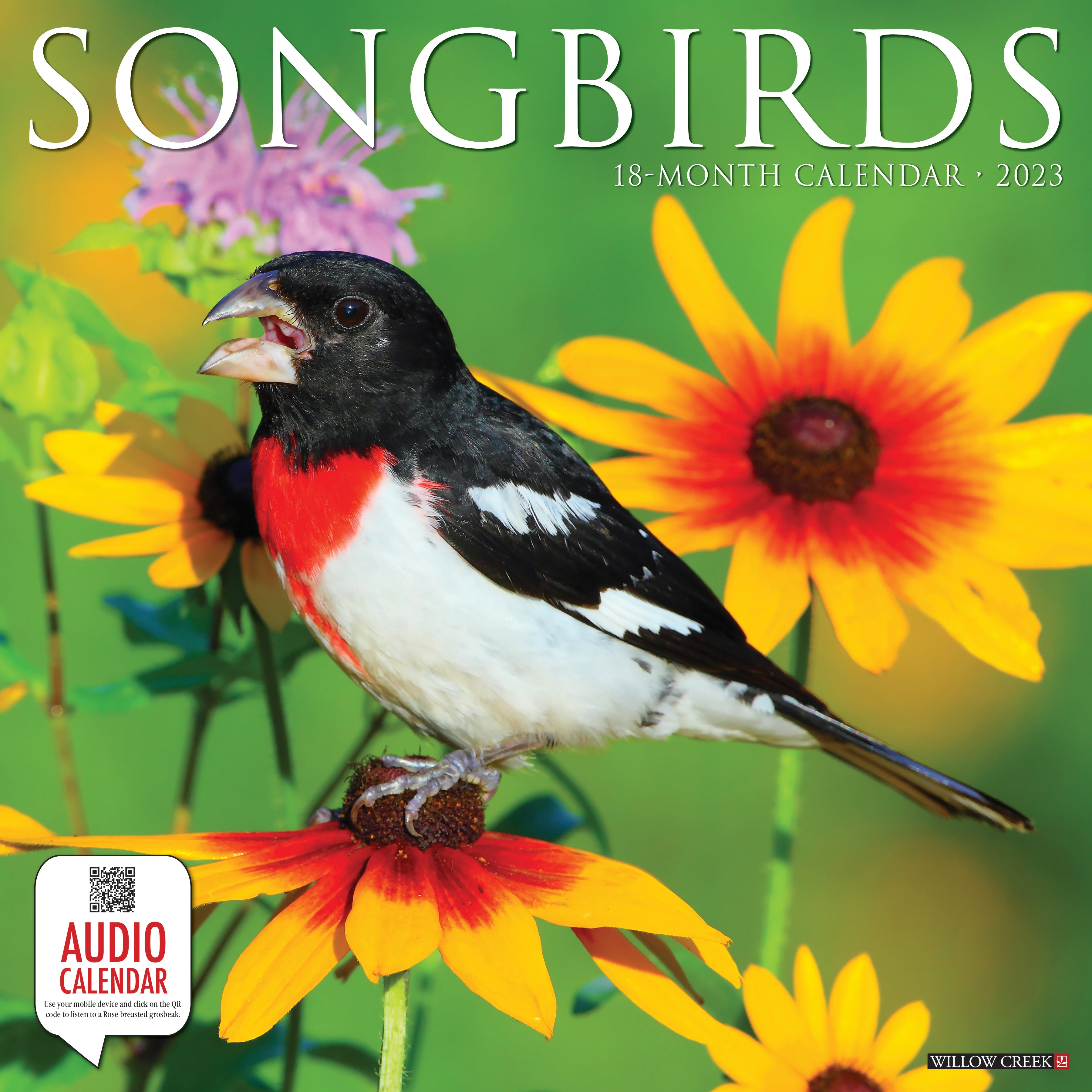 Songbirds 2023 Wall Calendar Walmart Songbirds 2023 Wall Calendar Walmart