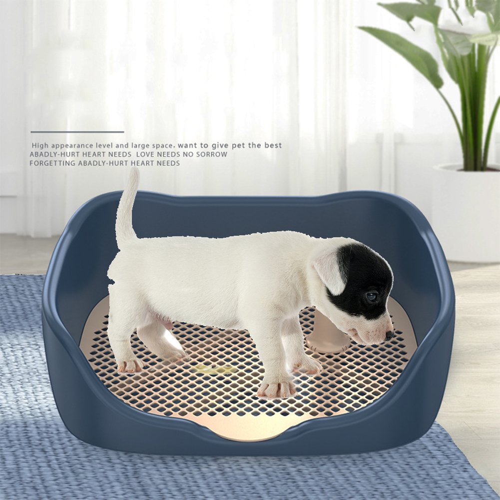 Can Cat Litter Hurt A Dog