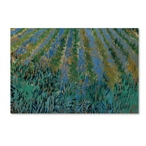 Trademark Fine Art 'Lavender at Saintes-Maries' Canvas Art by Vincent van Gogh