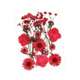 thumbnail image 3 of segolike Dried Pressed Flowers Craft Making Beautiful Real Dried Flowers for Scrapbooking Red, 3 of 9