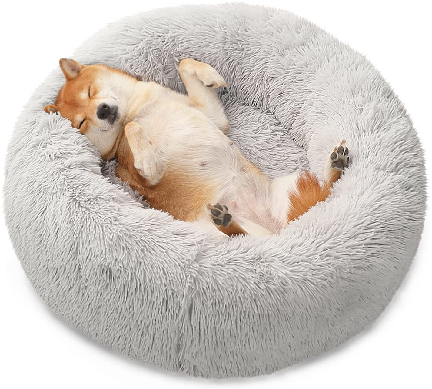 dog beds that help anxiety