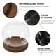 thumbnail image 3 of Vitrina de vidrio en miniatura con cúpula redonda para plantas con base, 3 of 6