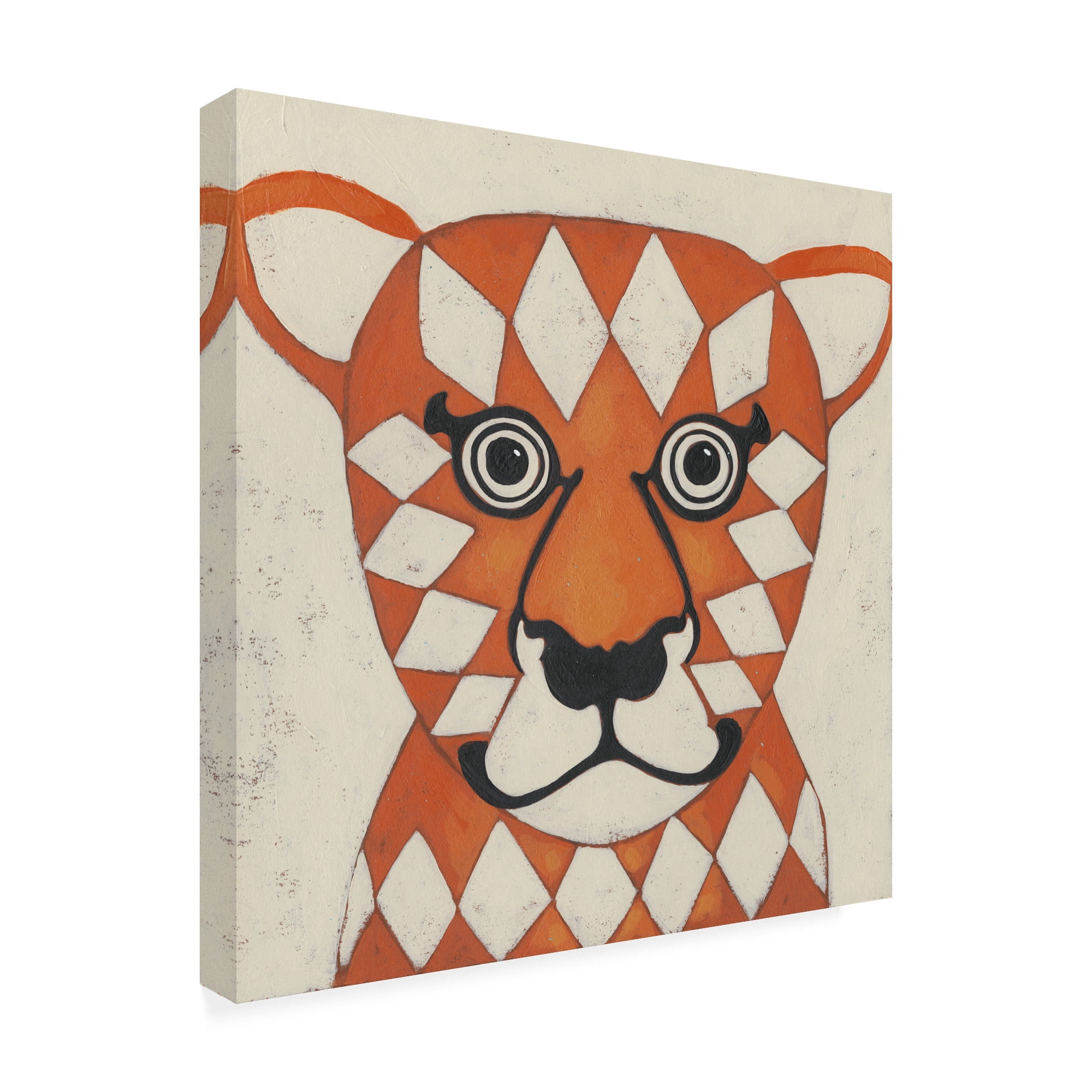 Trademark Fine Art 'Zoo Portrait II' Canvas Art by Chariklia Zarris