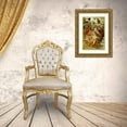 thumbnail image 3 of Emil August Göldi 19x24 Gold Ornate Framed and Double Matted Museum Art Print Titled - Tie-Tinga, Pipira, Cri-Cri-No, Loao De Barro, Gallo Da Serra, Pavao Do Mato (1900-1906), 3 of 4