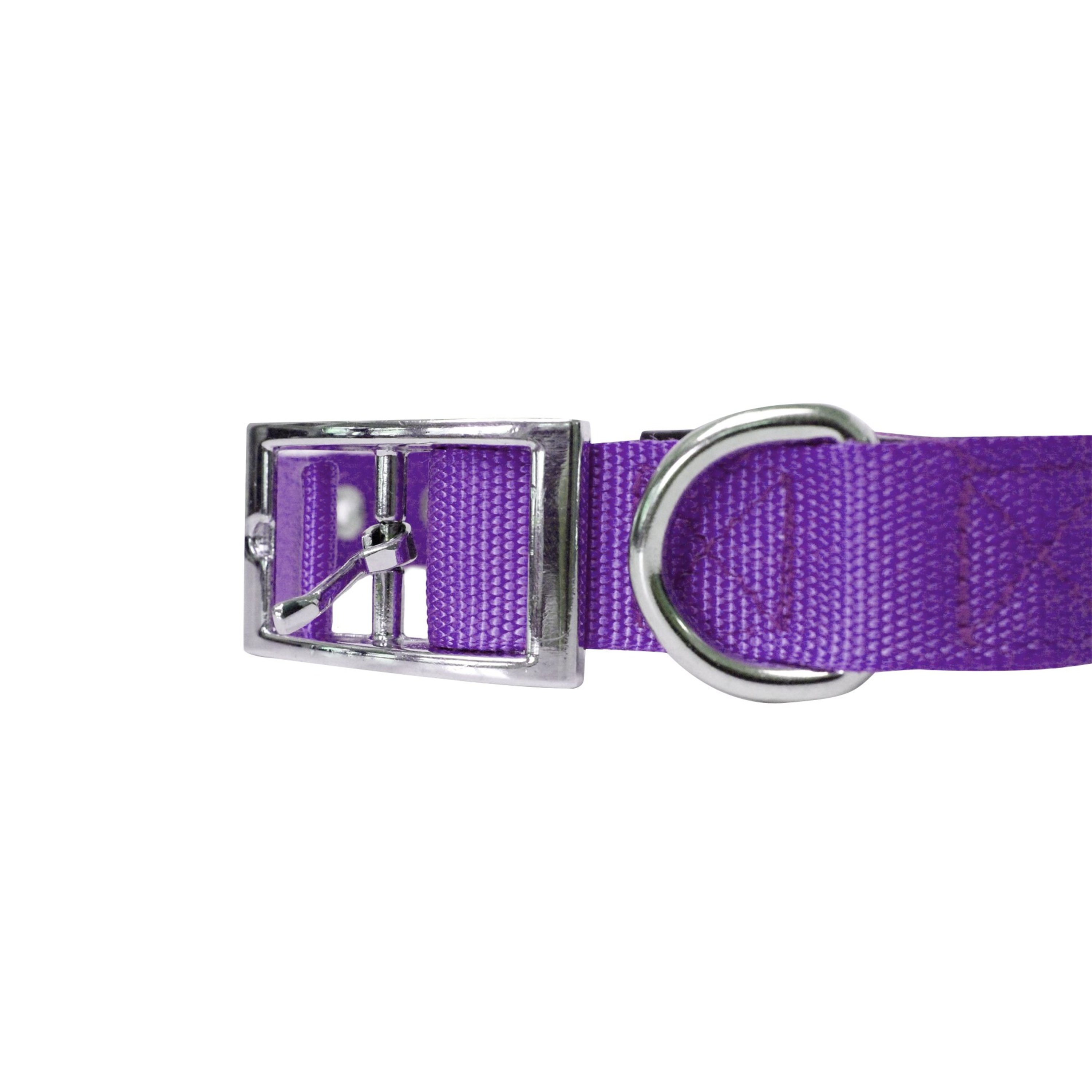 Downtown Pet Supply Padded Dog Collar, Purple, Large photo 5