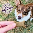 thumbnail image 3 of Wellness Old Mother Hubbard P-Nuttier Dog Biscuits, Natural, Training Treats, Peanut Butter Flavor, Small Size, (20 Ounce Bag), 3 of 8