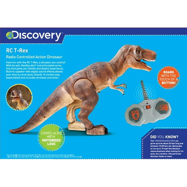 first t rex discovery