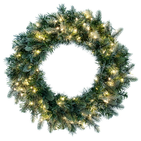 Vickerman 24" Frosted Douglas Fir Artificial Pre-Lit Wreath, Warm White 3mm LED Wide Angle Lights.