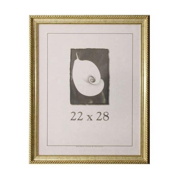 Frame USA Napoleon Picture Frame 25.5W 4H