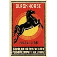 thumbnail image 2 of Phillumenart 13x18 White Modern Wood Framed Museum Art Print Titled - Black Horse Matches, 2 of 4