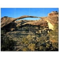 thumbnail image 1 of Canyon Picture Ceramic Tile Mural Kitchen Backsplash Bathroom Shower 404381-XL43, 1 of 3