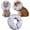 Grey, variant on Inflatable Cone Collar for Large Medium Small Dogs, Soft Adjustable Recovery Collar for Dogs Cats,Dog Cone Neck Donut Alternative After Surgery(Pink,Medium