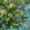 Forest Green flecked, variant on Big & Tall - Polar Plush Fashion Fleece - Pullover Hoodie (New)