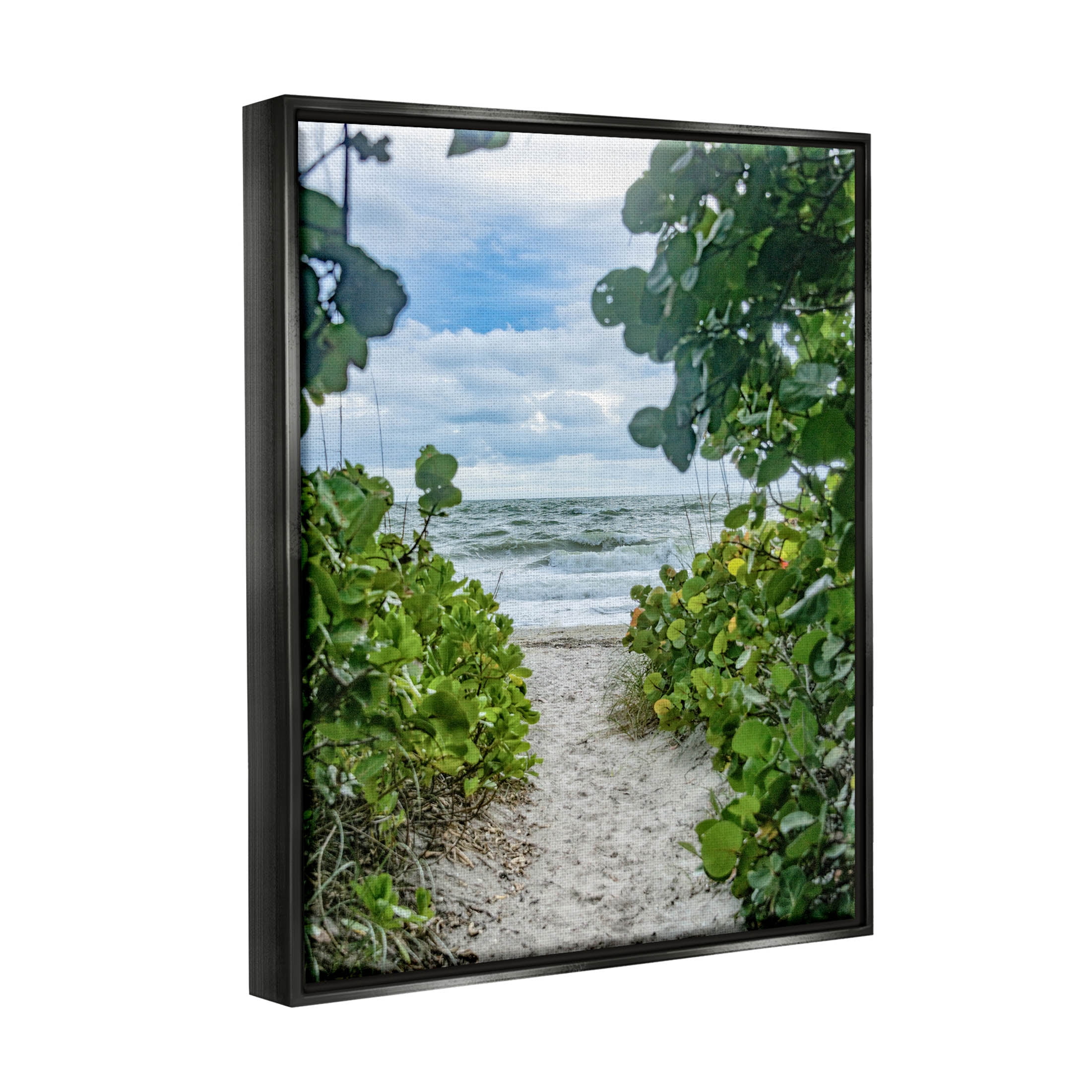 Stupell Industries Overhanging Beach Greenery Plants Path Photograph Jet Black Floating Framed Canvas Print Wall Art, Design by Mary Lou Photography