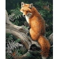 thumbnail image 1 of Peinture par Numéros Fox (40x50cm Sans Cadre), 1 of 6