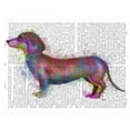 thumbnail image 2 of Fab Funky 24x20 Gold Ornate Wood Framed with Double Matting Museum Art Print Titled - Dachshund Rainbow Splash 1, 2 of 4