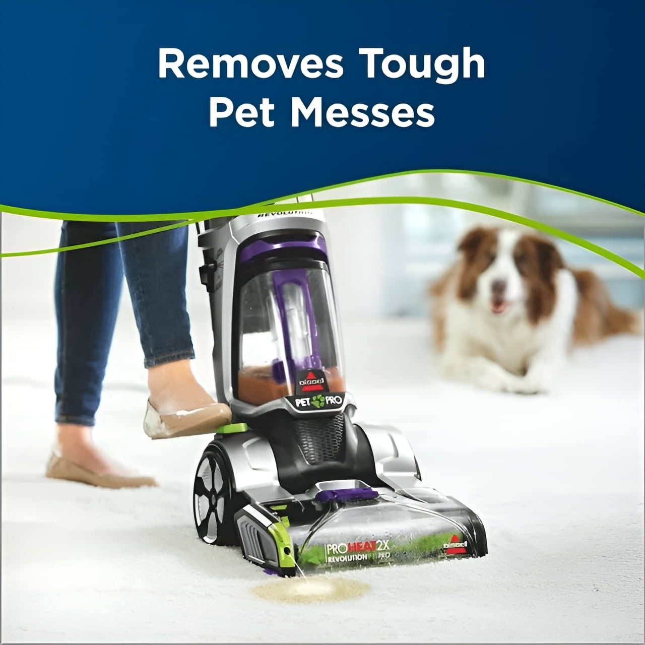 Bissell Pet Stain & Odor Detergent, 60 fl oz