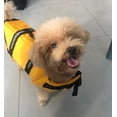 thumbnail image 5 of Chaleco salvavidas deportivo Apuakthei para perros con ripstop y asa de rescate de gran flotabilidad, 5 of 5