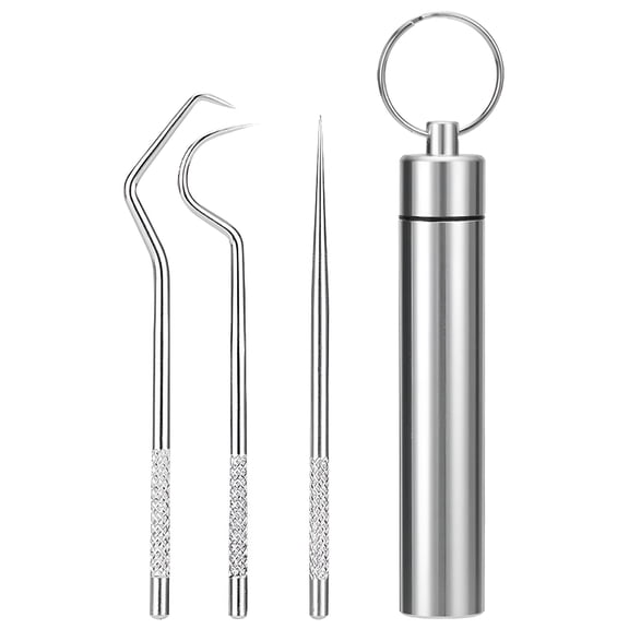 BPPEG 3 Pcs Stainless-Steel Toothpicks Reusable Floss Tooth Picks Scraper Dental Tools for Teeth Cleaning Steel Dental Pick Kit