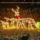thumbnail image 4 of Reno De Navidad Iluminado, Conjunto Familiar De Ciervos De Navidad Iluminado Con Luces LED Para Exteriores, 4 of 7