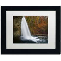 Trademark Fine Art "Nature Beauty" Canvas Art by Mathieu Rivrin, White Matte, Black Frame
