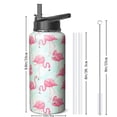 thumbnail image 4 of 32oz Stainless Steel Flamingo Themed Water Bottle Outdoor Adventures Ready Vacuum Insulated Leak Proof Hot Cold, 4 of 5