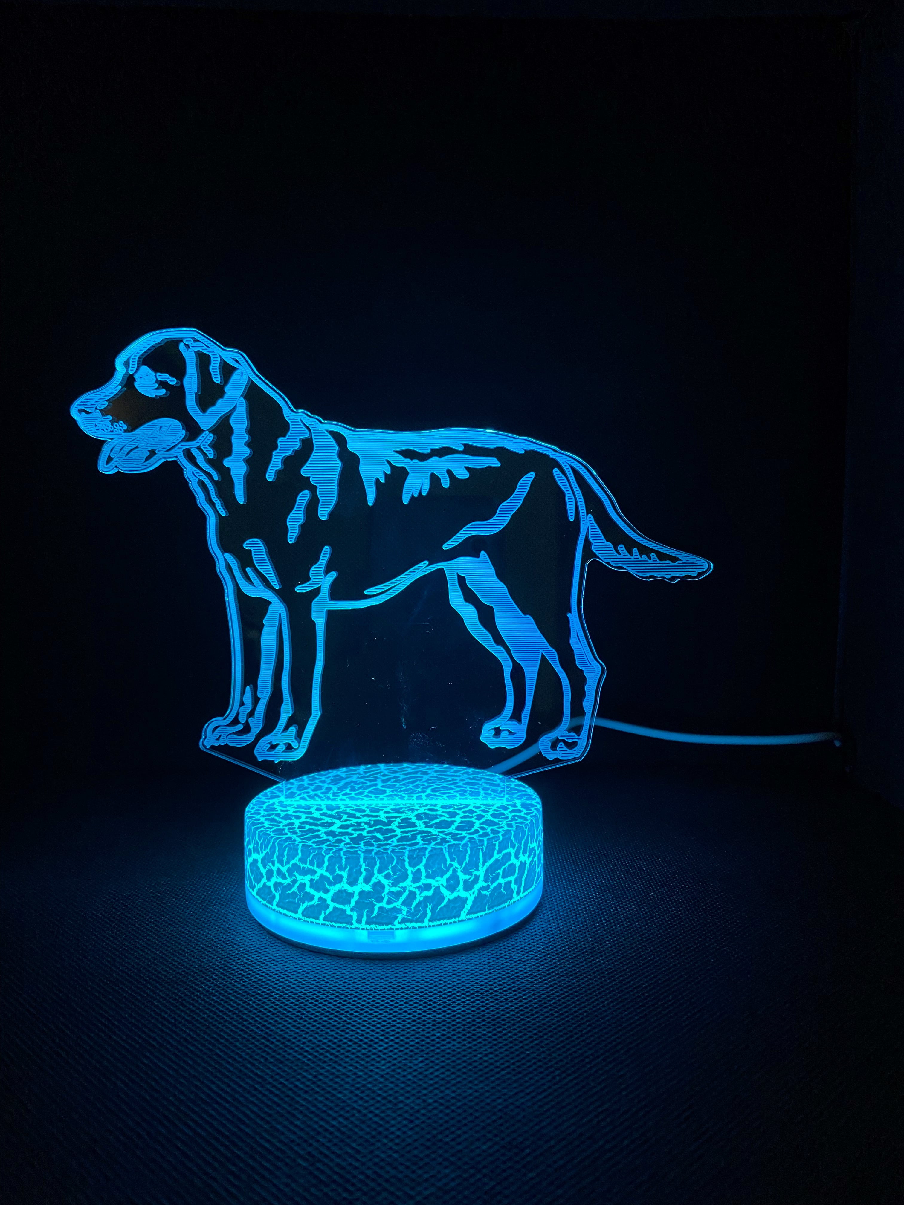 Dog 3D Night Light Multi Color Changing Illusion Lamp for Children Kids Girls Boys Animals Fan Gift Christmas Birthday Best Gifts
