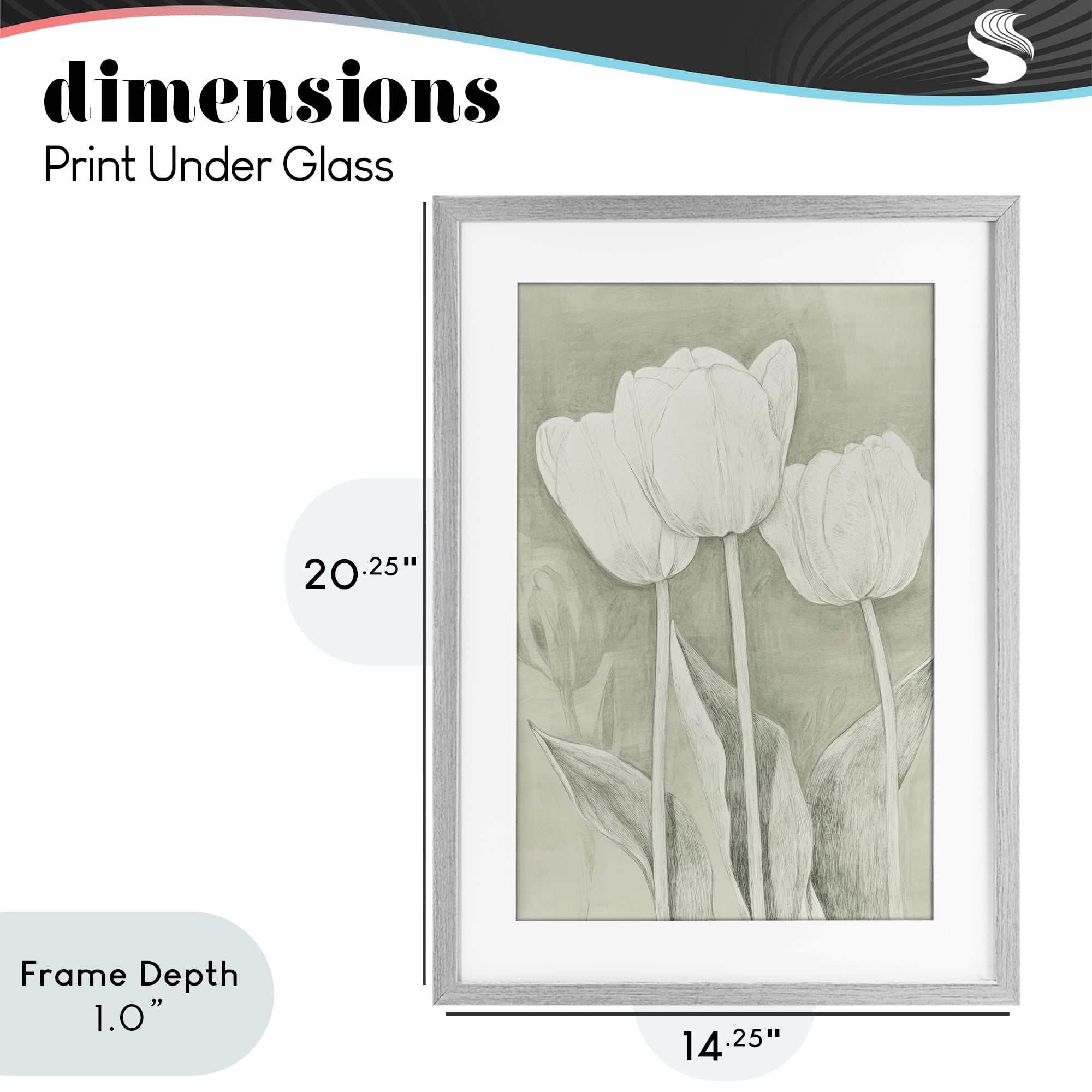 Stupell Industries Faded Tulips Pencil Sketch Gray Framed Print Under Glass, design by Petal Prints Design