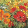 thumbnail image 2 of Rowan, Carol 12x12 Black Ornate Wood Framed with Double Matting Museum Art Print Titled - Oriental Poppy Field I, 2 of 4