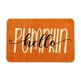 thumbnail image 2 of Hovilon 16x24 Inch Fall Pumpkin Thanksgiving Doormat, Orange Polyester Welcome Mat, Non-Slip Washable Autumn Harvest Door Rug for Front Porch Entryway Kitchen, Indoor Outdoor Farmhouse Home Decor, 2 of 6