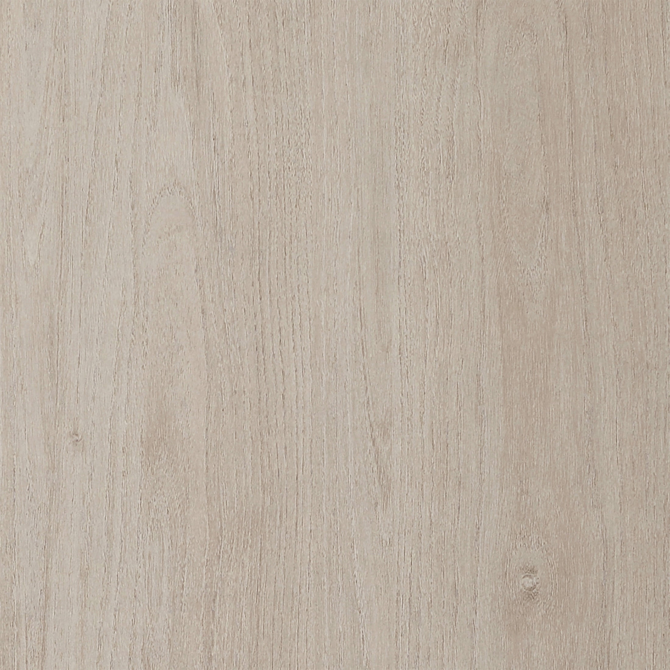 Evelyn&Zoe Modern/Contemporary 48" Wide Alder White Coffee Table