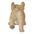 thumbnail image 4 of Bouledogue Français Lavage du Sol, 4 of 5