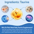 thumbnail image 3 of Worafy Taurine Powder for Dogs and Cats, Skin & Coat Health, Immune Support for Heart, Vision & Daily Wellness 7.05 OZ, 3 of 7