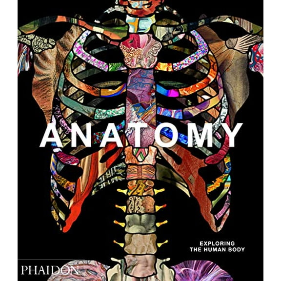 Pre-Owned Anatomy: Exploring the Human Body (Hardcover) 0714879886 9780714879888