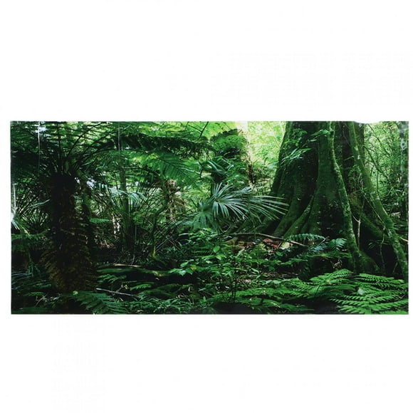 Fond de Forêt Tropicale, HD Image PVC Aquarium Affiche, pour Boîte de Reptile 91x50cm