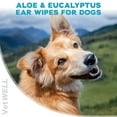 thumbnail image 3 of Dog Ear Wipes - Otic Cleaning Wipes for Infections and Controlling Ear Infections and Ear Odor in Pets - EarWELL by VetWELL - 100 Count, 3 of 8