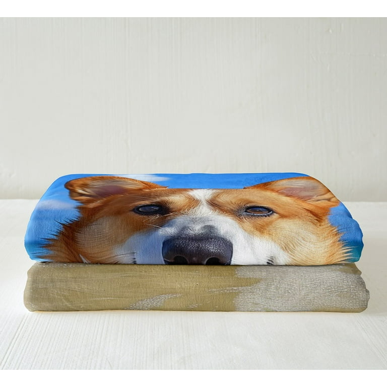Corgi snuggie sale