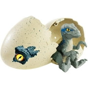 Jurassic World Hatch n Play Dinos Velociraptor Blue Figure