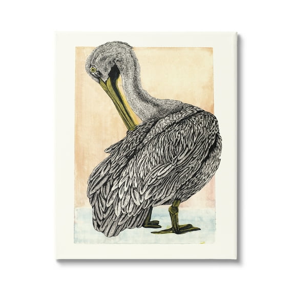 Stupell Industries Detailed Pelican Drawing Animals & Insects Drawing Gallery Wrapped Canvas Print Wall Art, 16 x 20