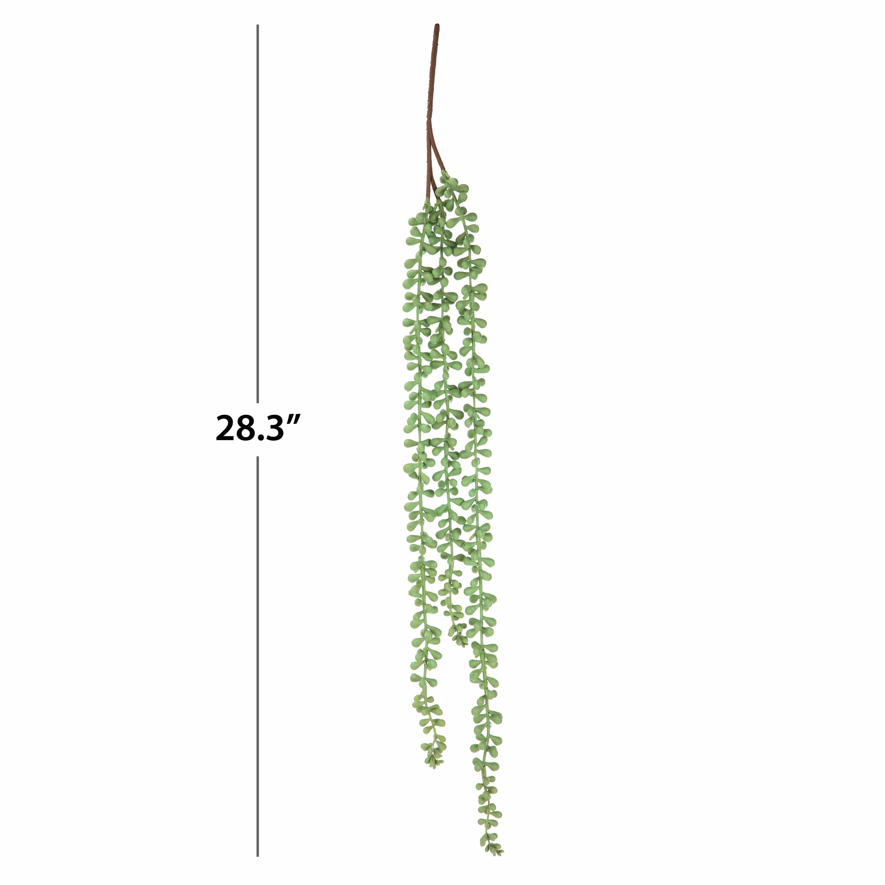 Mainstays 24" Artificial String of Pearls Succulent Pick, Light Green