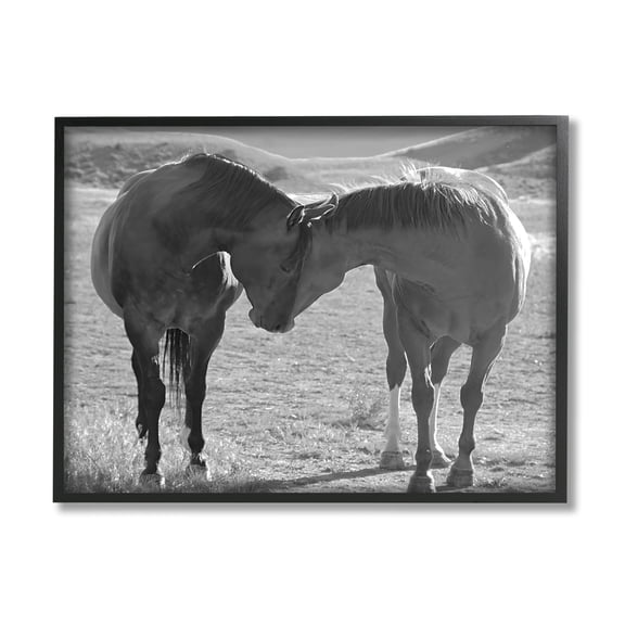 Stupell Industries Horses Hugging Photography Animals & Insects Photography Black Framed Art Print Wall Art, 14 x 11