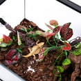 thumbnail image 4 of Reptiles Corner Plant Leaves Terrarium Fish Tanks Landscaped Hideouts Decoration for Bearded Dragon Lizards, 4 of 8