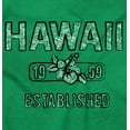 thumbnail image 2 of Hawaii Hibiscus Flower Distressed HI Womens Fitted Plus Size Graphic Tee Brisco Brands 3X, 2 of 5