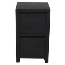 Argyle 2-Drawer File Cabinet in Modern Black Finish on Reclaimed Solid Wood